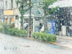 雨模様の車窓より...｡oо○**○оo｡...｡oо○