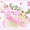 可愛い誘惑