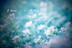 I love.....