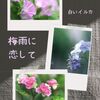 梅雨に恋して