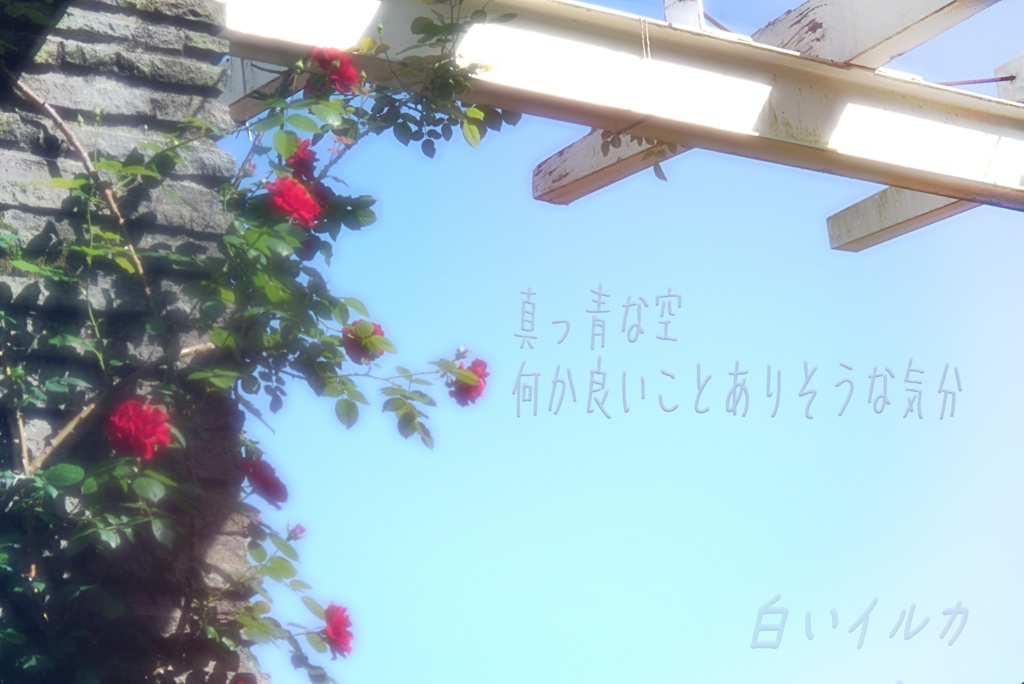 真っ青な空