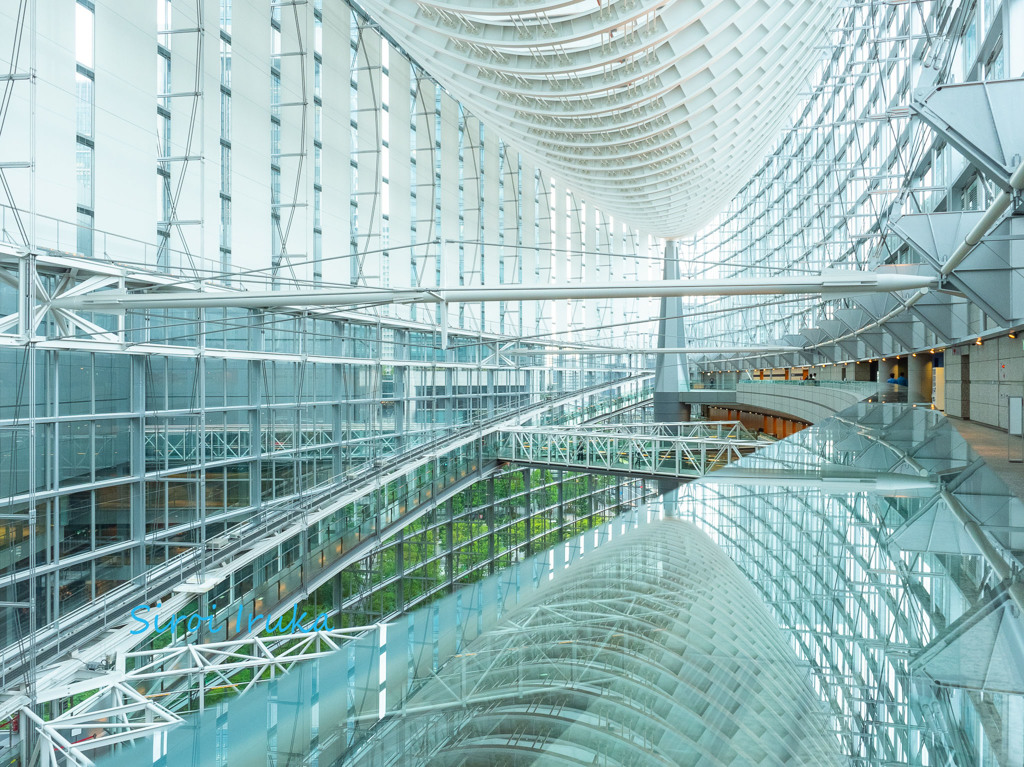 東京国際フォーラム①