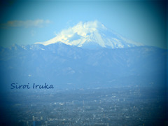富士山(スカイツリーより)