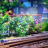 沿線に咲く勝気な花
