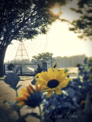 夏の臨海公園