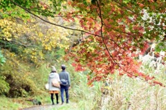 未来ある二人 未来ある二人