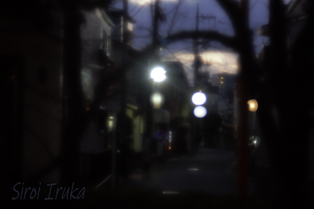 夜の帳が下りる頃