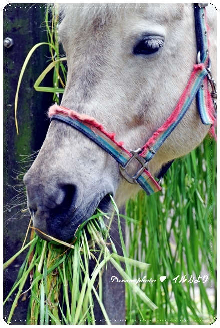 私可愛いでしょう。。。(３)