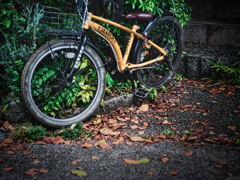 秋色自転車