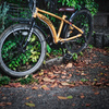 秋色自転車