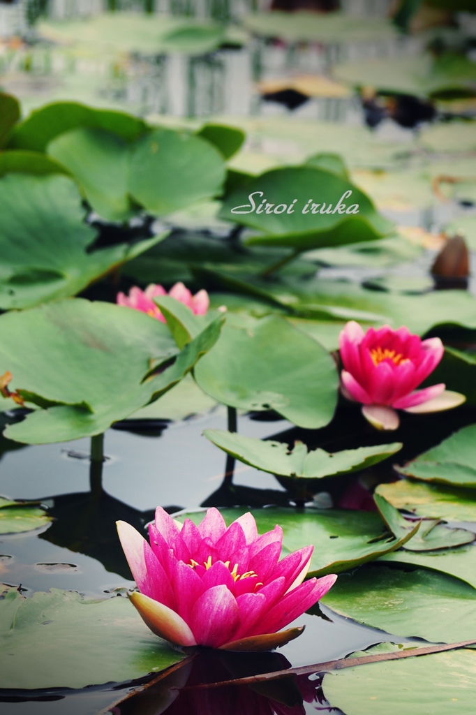 また会えたね。。。