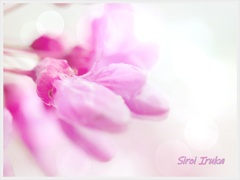 Quietness