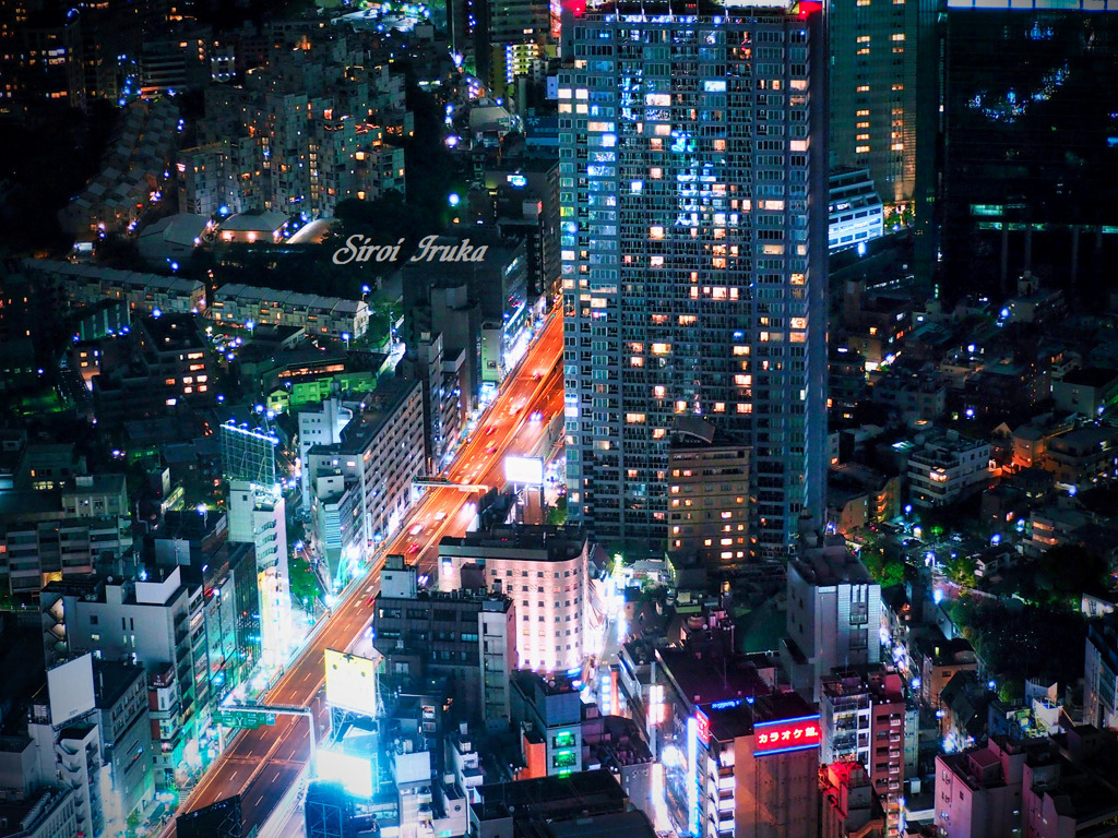 初めての夜景撮影でワクワク