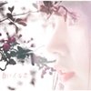oо○**○оo｡...　別れの時　...｡oо○**○оo