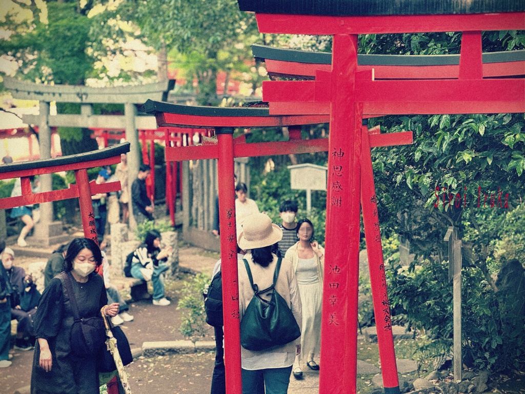 紅い鳥居