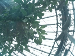 ceiling