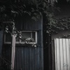 Blueのトタン壁
