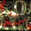 宝石箱の金魚姫