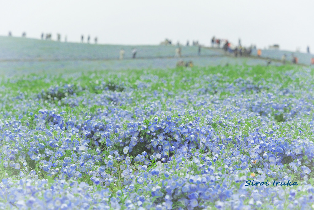 ちょっとした晴れ間に