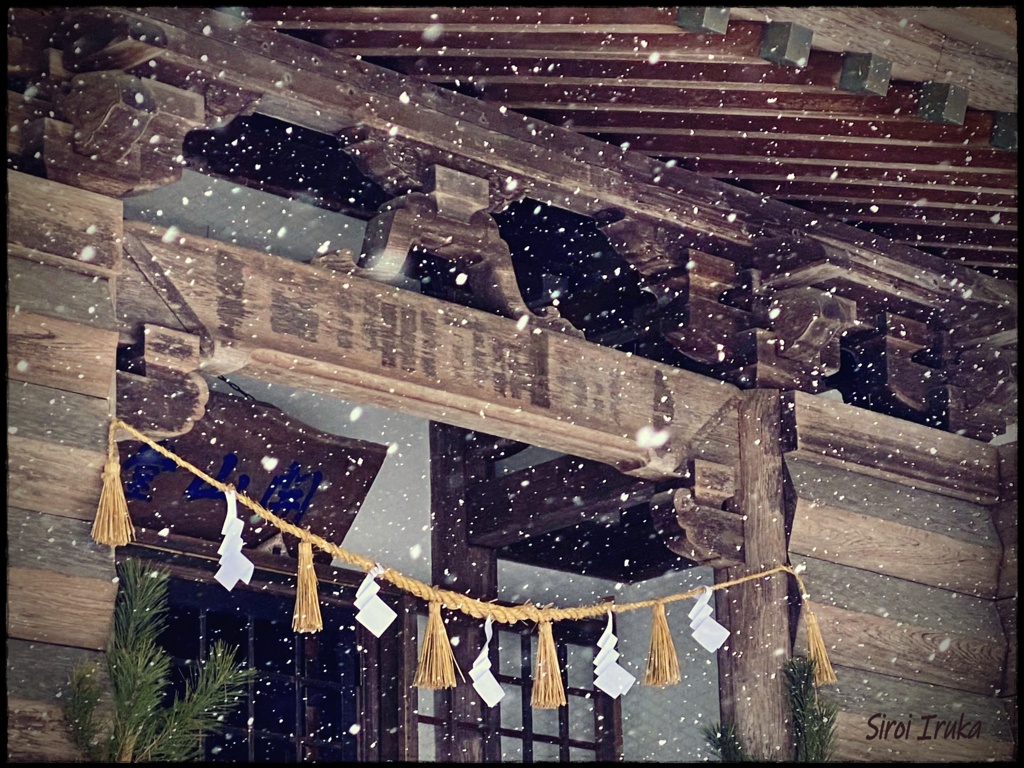 深々と