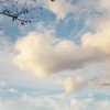 秋空