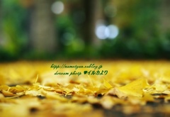 季節と心のうつろぎ