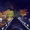 昭和記念公園　8（日本の美）