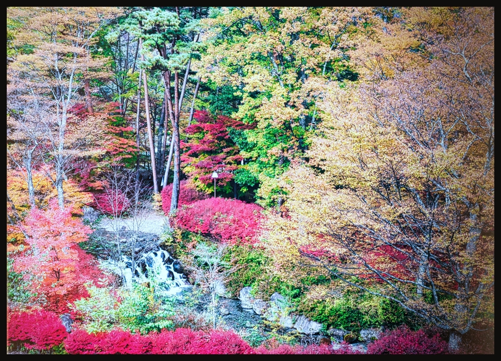 色の饗宴