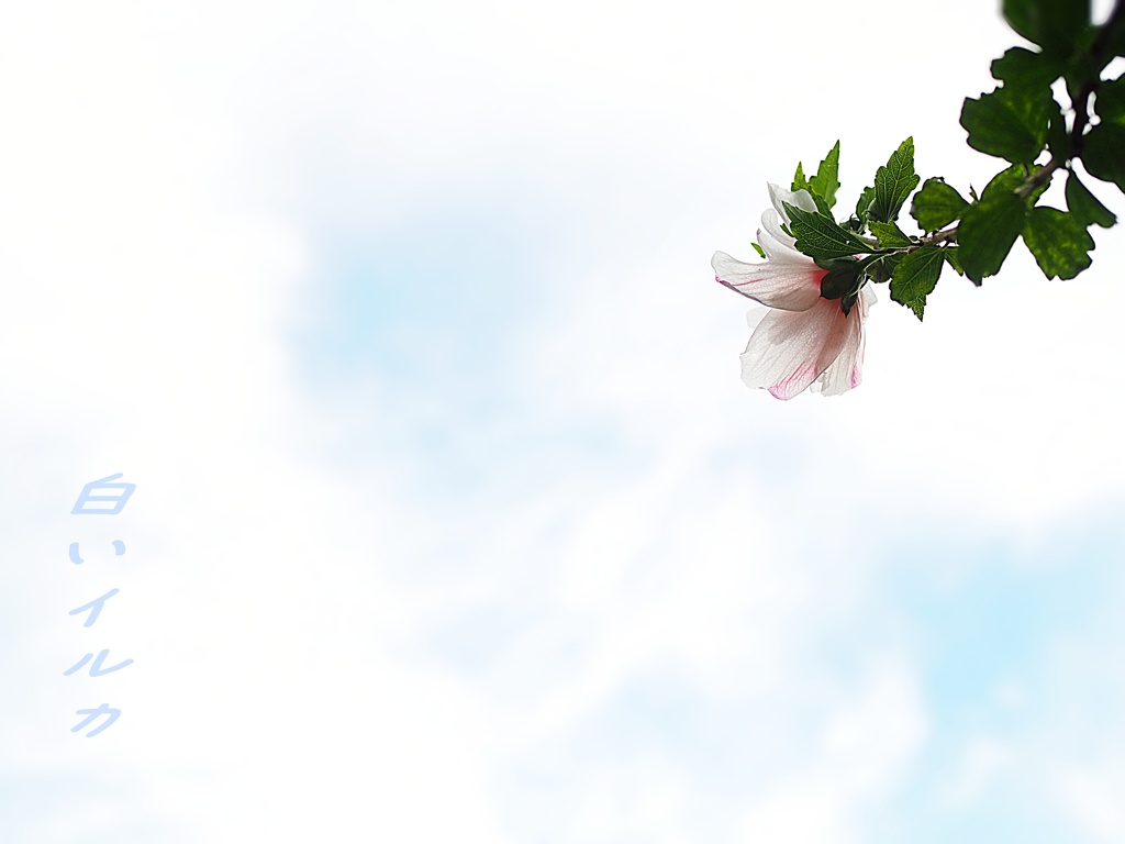 広い空