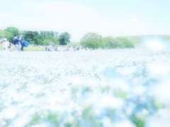 蒼のかがやき