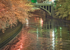 思い出の目黒川