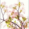 春の花(ハイキー)③