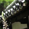 降り止まぬ雨