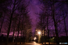 夜明け