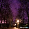 夜明け