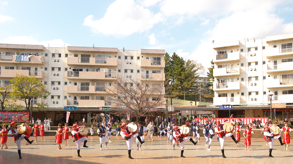 鶴川エイサーよさこい祭り2016　桜風エイサー琉球風車