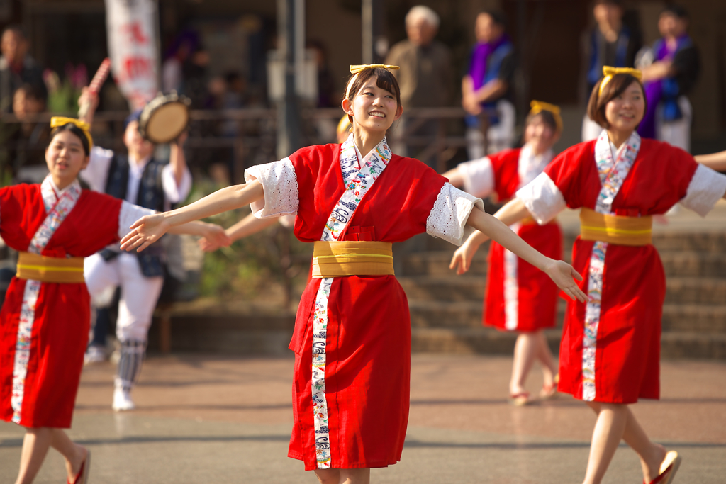 鶴川エイサーよさこい祭り2016　桜風エイサー琉球風車