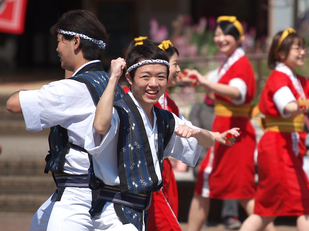 鶴川エイサーよさこい祭り2016　桜風エイサー琉球風車