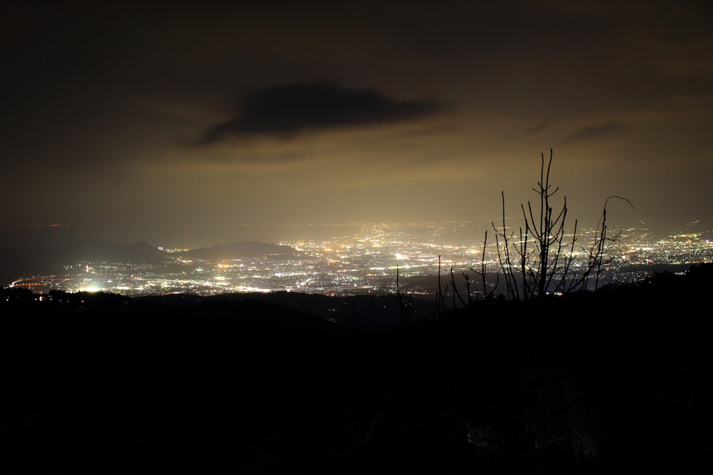 夜景