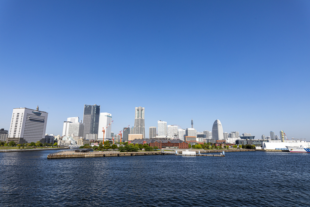 The横浜