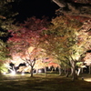 岡山・後楽園