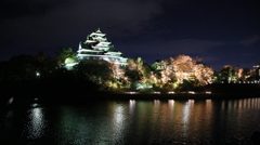 岡山城夜景①