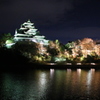 岡山城夜景①