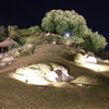 岡山：後楽園