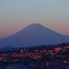 IMG_5825