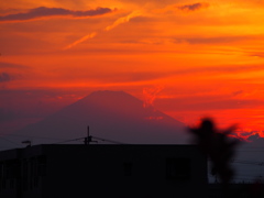 夕陽を浴びて