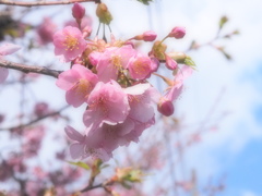 春へ