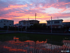 夕暮れ