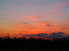 夕景