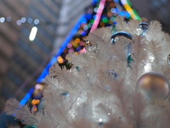 クリスマス